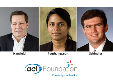 Newly Appointed Vice Chairs of ACI Foundation